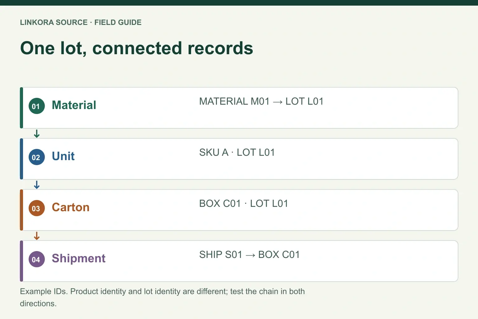 One lot, connected records: Material → Unit → Carton → Shipment
